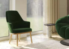 Fauteuil-Vert-Bois