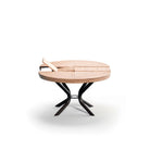 grande table ronde extensible design