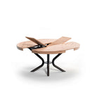 grande table ronde extensible design