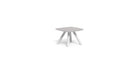 table_appoint_coral